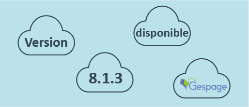 Version 8.1.3 11 • Gespage
